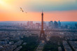 View of Paris with Eiffel Tower from Montparnasse building. Eiffel tower view with flying birds from Montparnasse at sunset, view of the Eiffel Tower and La Defense district in Paris, France.