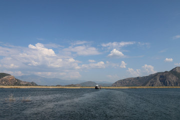 Wall Mural - Boat tour on the river - dalyan iztuzu beach