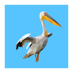 Wall Mural - Low poly illustration of wild pelican