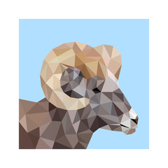 Wall Mural - Low poly illustration of ram