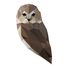 Wall Mural - Low poly illustration of owl