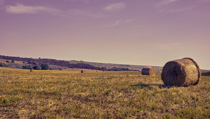 Wall Mural - a straw bales lie in a landscape with rose sky