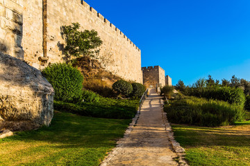 Stone-paved footpath through green lawn