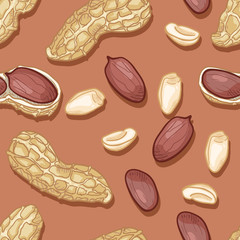 Wall Mural - Vector Seamless Pattern of Peanuts