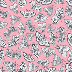 Wall Mural - Butterflies seamless pattern. Various moth background. Pink wallpaper. Vector illustration