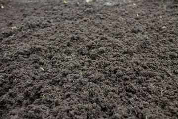 Loose black earth close-up in the garden