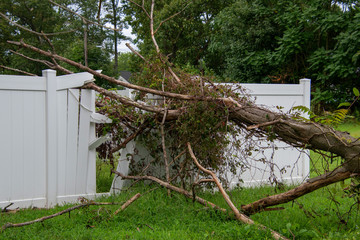 Wall Mural - Close up of a large limb that fell off a tree destroying part of a white metal fence leaving a hole