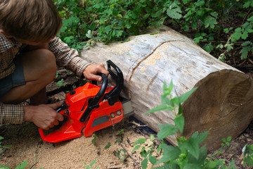 Wall Mural - a man cuts a fallen tree with a chainsaw