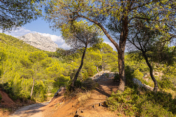 Sainte-Victoire mountain, towards the village of Tholonet