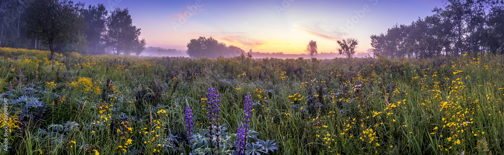 Twilight on a field covered with flowers in summer morning with fog. - obrazy, fototapety, plakaty 