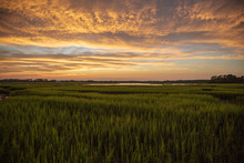 Sunset Over Marsh