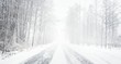 © Aastels - Snowy winter road during blizzard in Latvia