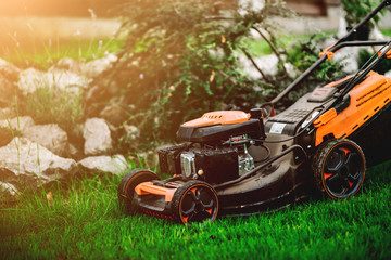 Wall Mural - Gardening and landscaping concept - worker, gardener working with lawnmower and cutting grass in garden.