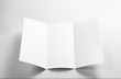 © mitrija - Blank Open Flyer over gray background