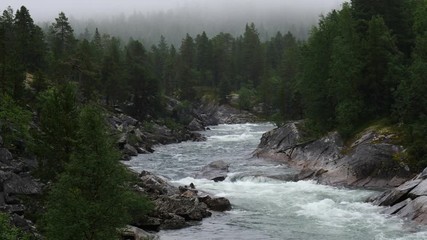 Wall Mural - Mountain river, norwegian green nature in summertime. Cloudy foggy day, rainy weather. Saltfjellet - Svartisen National Park in Norway