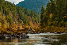 Fall Colors Of Deep Orange And Burnt Yellow On The Rogue River With A Pine Forest On Both Sides Of The River