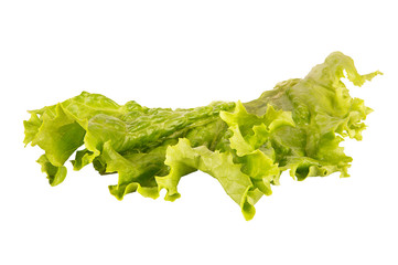 Green lettuce leaf, isolated on white background. Cut out.