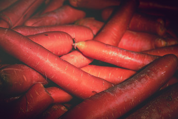 Close up of Fresh carrot; carrot background