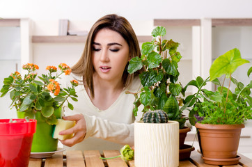 Wall Mural - Young female gardener with plants indoors