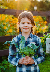 Wall Mural - Children little girl holding mom a basket of fresh organic vegetables with the home garden.