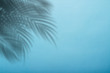 © Alex - Shadow from palm leaves on a background of blue wall. Blue background, cardboard. Abstract image