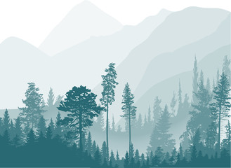 dark cyan fir forest in mountains on white