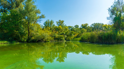 a river landscape. green water