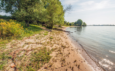 Wall Mural - On the banks of the Dutch river Waal