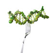 Nutrigenetics concept that veggies and fruits designed as DNA Strand on a fork