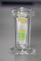 Poster - Study of Chromatography is used to separate components of a plant. 