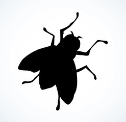 Poster - Fly. Vector drawing