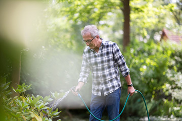 Retired man watering plants in the garden