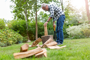 Wall Mural - Senior man cutting logs, working in the garden