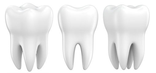 set of dental premolar teeth 3d models as a concept of dental examination teeth, dental health and h