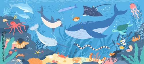 Fish and wild marine animals in ocean Canvas Print