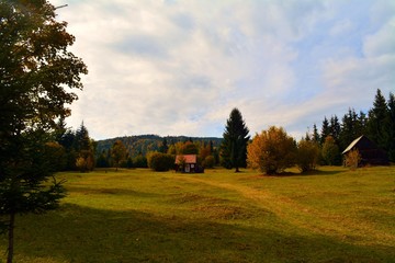 Wall Mural - a wooden cottage among trees