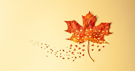 creative autumn concept with heart cut from natural red maple leaf. flat lay, copy space.