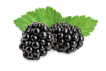 blackberry with leaf isolated on a white background closeup