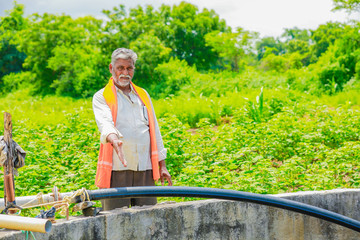 Wall Mural - young indian farmer working at field