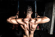 © Srdjan - Young strong man workout training back muscles in the gym dark image