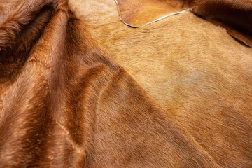 Animal hair of fur cow leather texture background.Natural Fluffy brown cowhide skin.