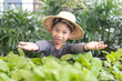 asian little boy working in a vegetable farm.Cute little boy wearing framer hat and a bunch of fresh organic green vegetable