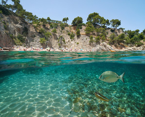 Wall Mural - Spain beach on rocky coastline with fish underwater near Calella de Palafrugell, Costa Brava, Mediterranean sea, Catalonia, split view half over and under water