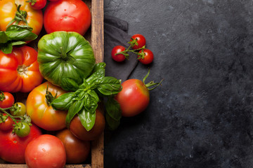 Fresh garden colorful tomatoes