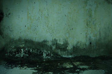 Wall Mural - Dirty old wall horror background