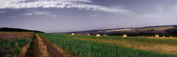 Wall Mural - central russia agricultural countryside with hills and country road and straw bales lie in a landsca