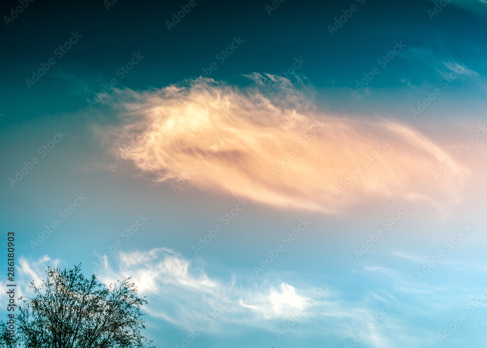 Fluffy white rose orange feather cloud in very quiet evening sky illuminated by the setting sun, wonderful Swedish summer light, just outside of Umea city, Vasterbotten, Northern Sweden