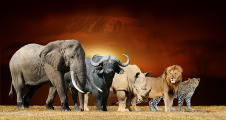 Wall Mural - big five on savanna landscape background and mount kilimanjaro at sunset