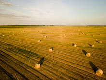 Agricultural Field Full Of Hay Rolls During Warm Summer Sunset