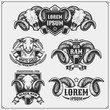 © malashkos - Beer set emblems with ram and sheep. Labels, emblems, stickers and design elements for pub, beer festival and beer restaurant design.